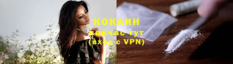 где купить   Дно  COCAIN VHQ 